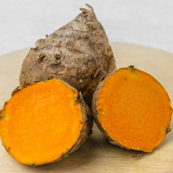 Temulawak